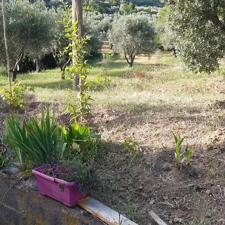 A Campiglia Marittima