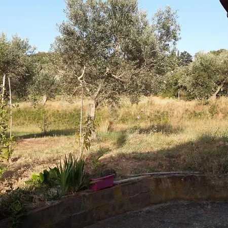 A Apartment Campiglia Marittima
